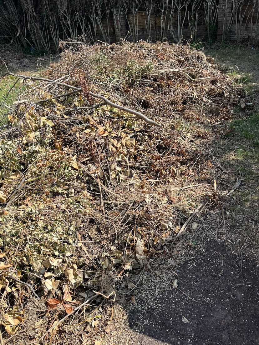 Green City Waste clearance project 1