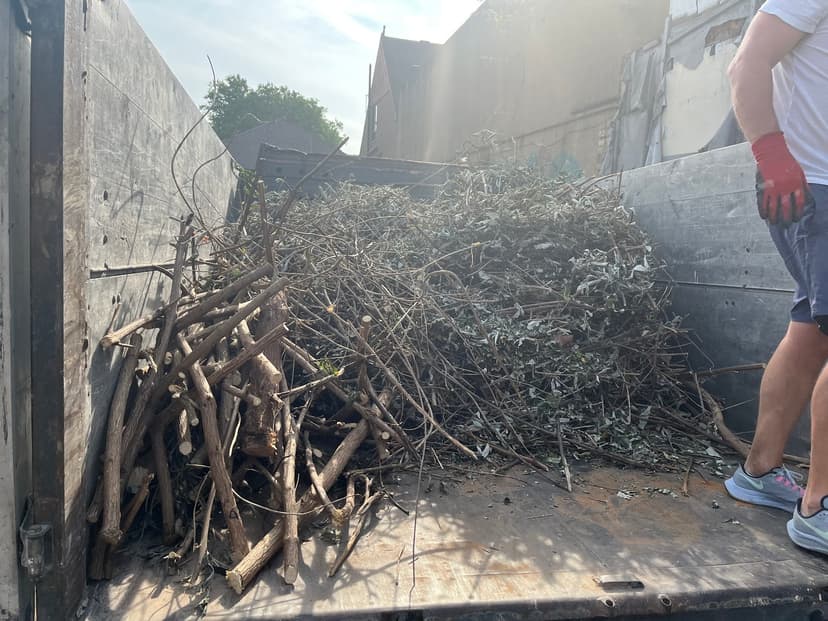 Green City Waste clearance project 10
