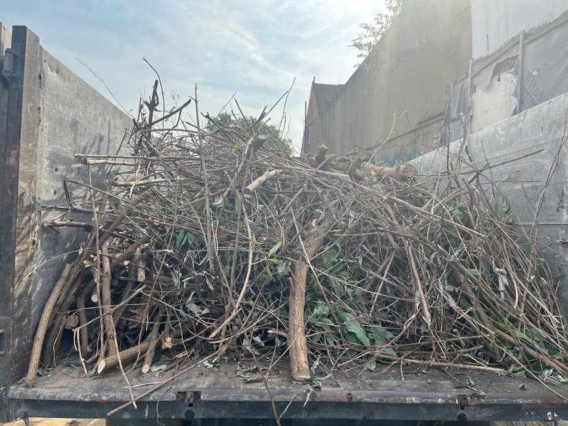 Green City Waste clearance project 11