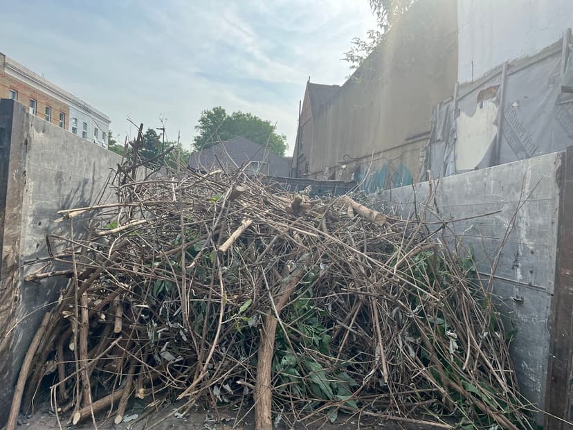 Green City Waste clearance project 12