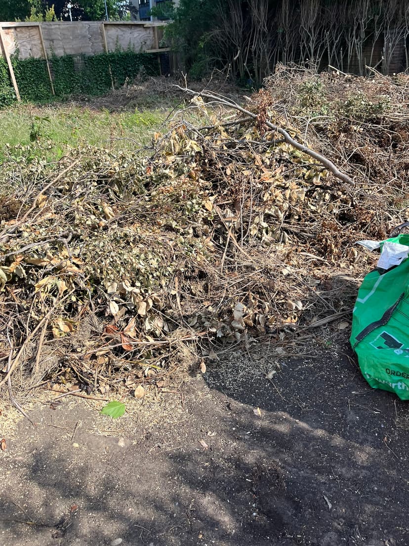 Green City Waste clearance project 2