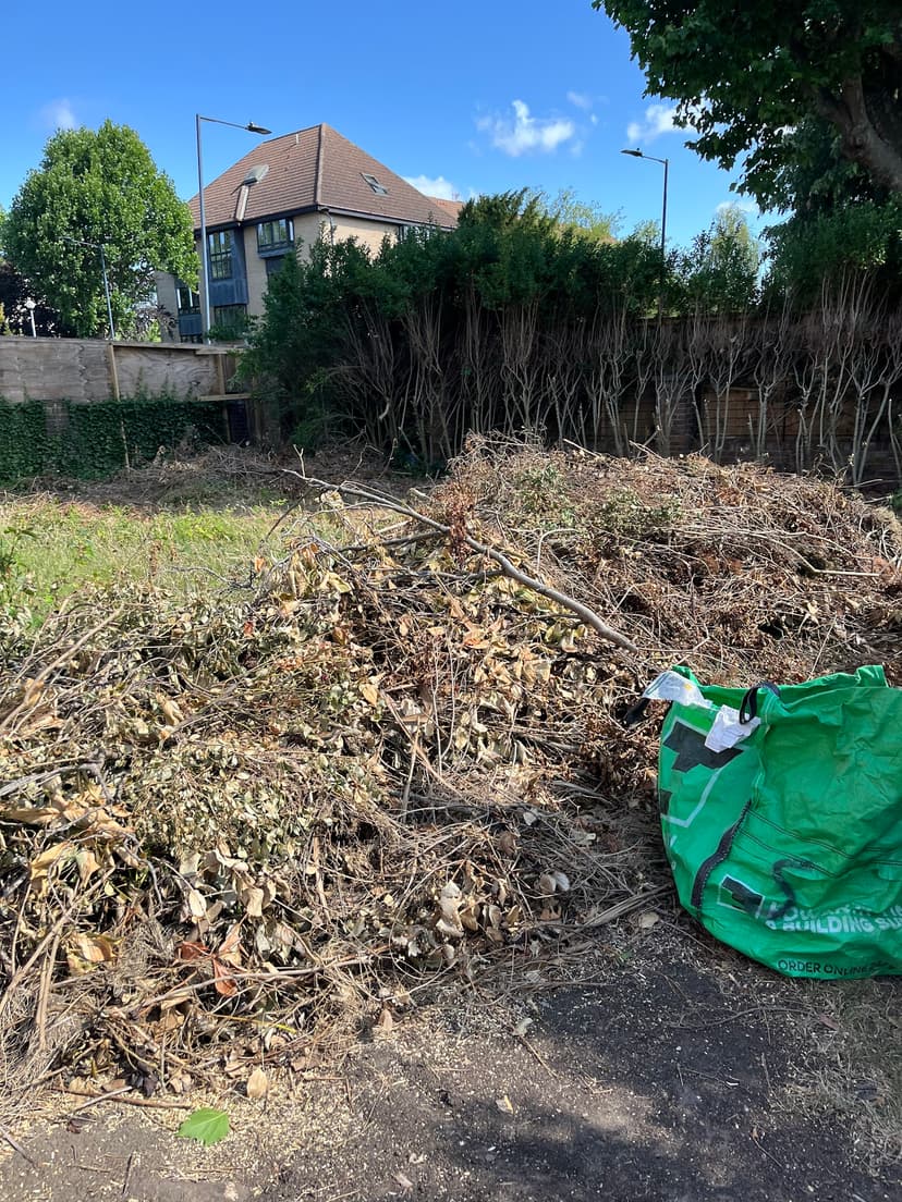 Green City Waste clearance project 3