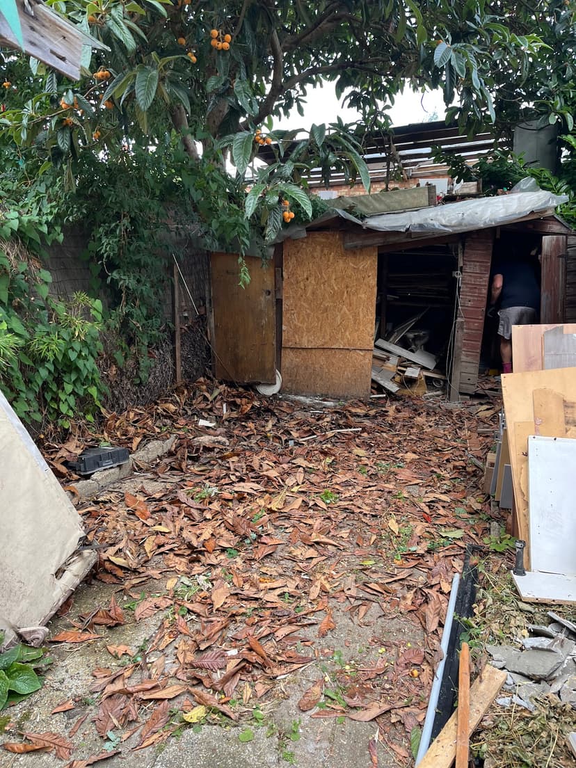 Green City Waste clearance project 45