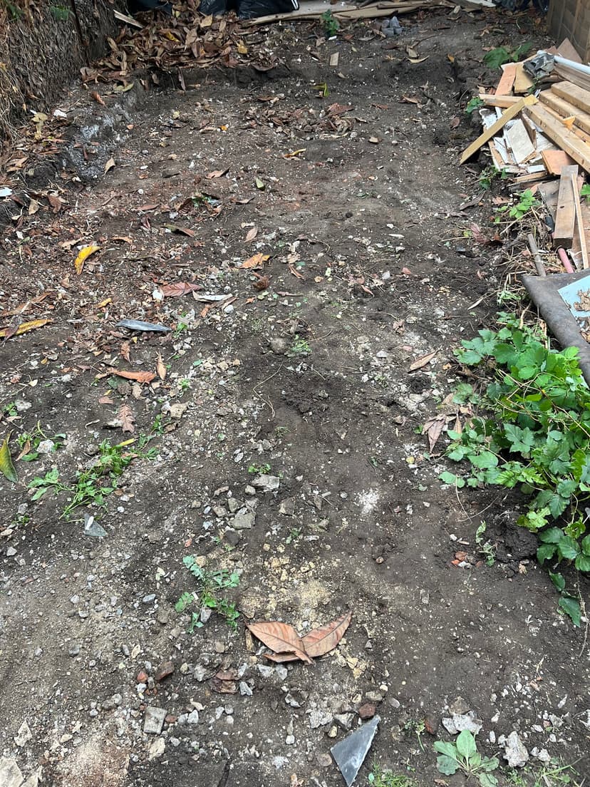 Green City Waste clearance project 48