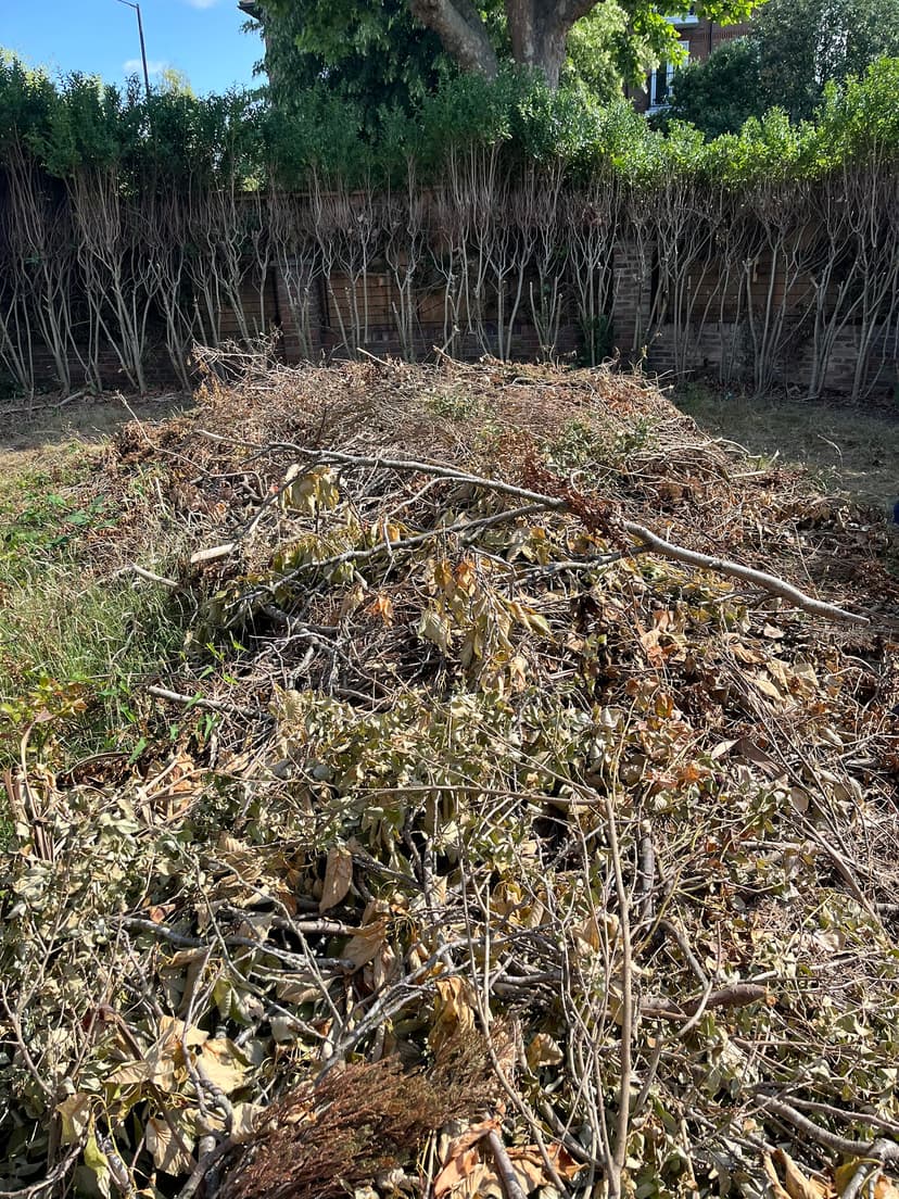 Green City Waste clearance project 5