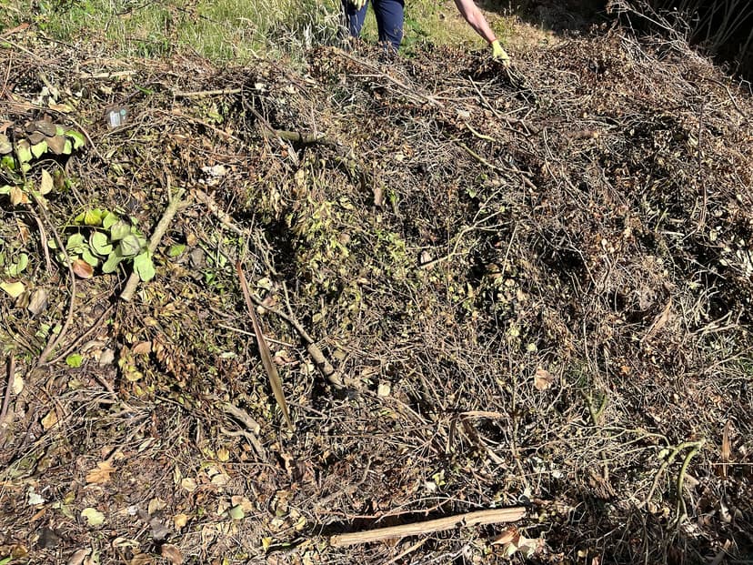 Green City Waste clearance project 6