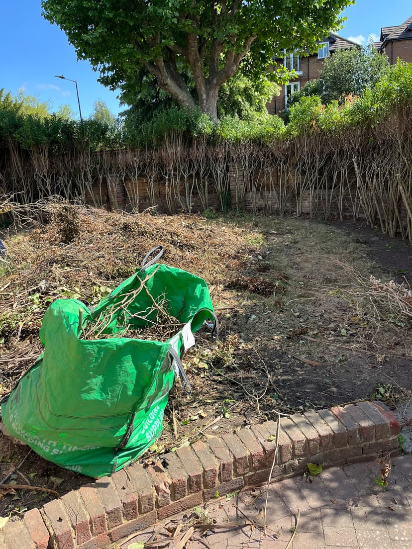 Green City Waste clearance project 7