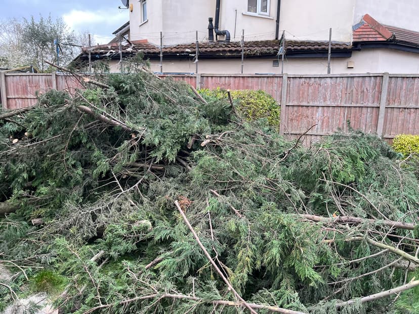 Green City Waste clearance project 71