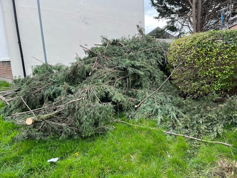 Green City Waste clearance project 72