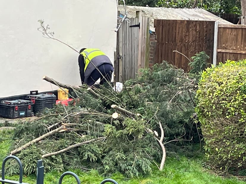 Green City Waste clearance project 73