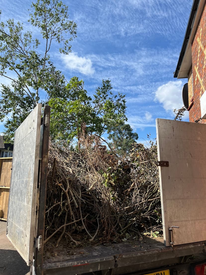 Green City Waste clearance project 8
