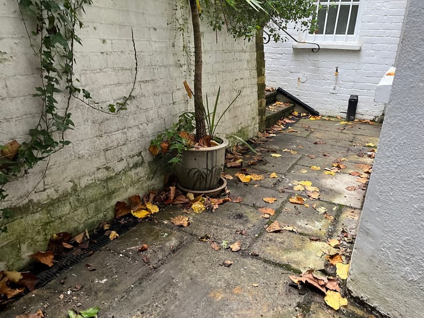 Green City Waste clearance project 80